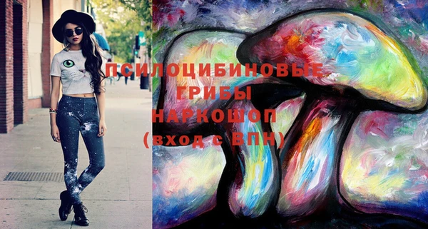 хмурый Вязьма