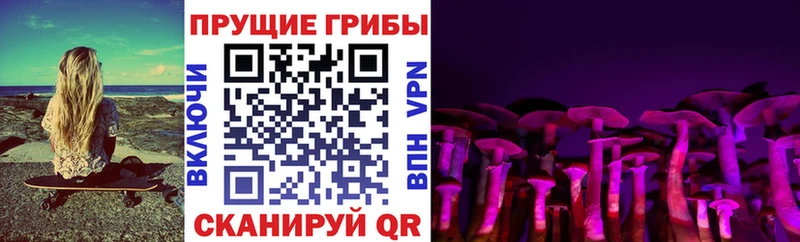 Галлюциногенные грибы мицелий  Дмитровск 