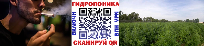 omg вход Дмитровск Бошки Шишки VHQ